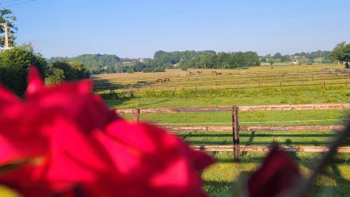 Saint-Aubin-de-Locquenay House | Gite de Lavardin
