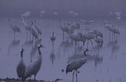 Belval-en-Argonne House | Gite de l'étang
