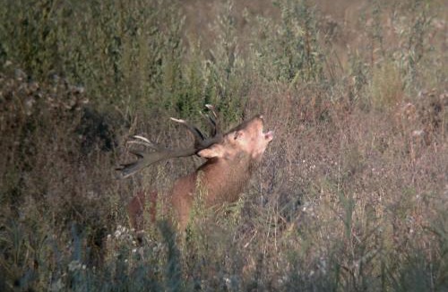 Belval-en-Argonne House | Gite de l'étang