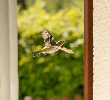 La Puisaye House | Gite de l'étang