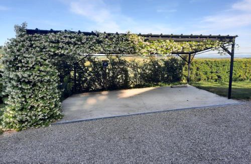 Montpezat-de-Quercy House | Gite de La Cheneraie