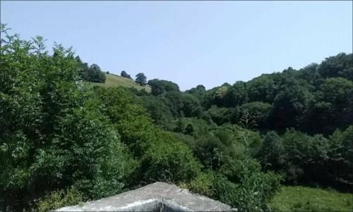 Le Masnau-Massuguies House | GITE DE LA COMBE BASSE