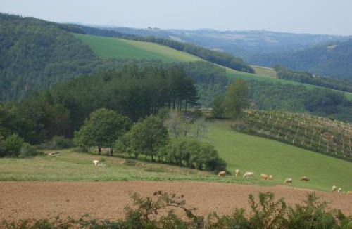 Le Masnau-Massuguies House | GITE DE LA COMBE BASSE