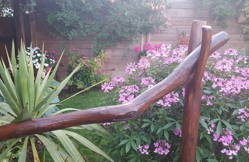 Olwisheim House | Gite de la cour pavée.