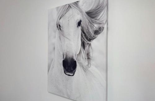 La Chapelle-Rablais House | gite de la faisanderie