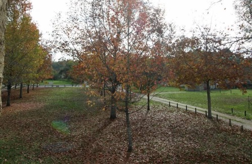 Uzeste House | Gite DE LA Gare - Uzeste