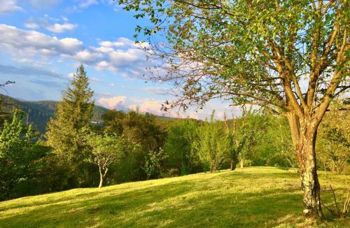 Chamborigaud House | Gite de La Jasse