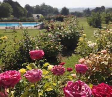 Louchy-Montfand House | Gite de la roseraie