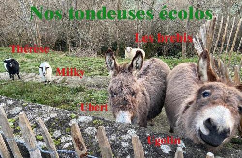 Narcastet House | Gite De Lasbareilles