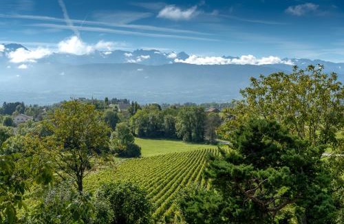 Myans Apartment | Gite De Myans 15 Personnes