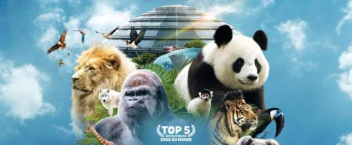 Seigy House | Gite de nounours à beauval