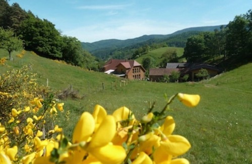 Rombach-le-Franc Other | Gite de Pierreusegoutte A et B