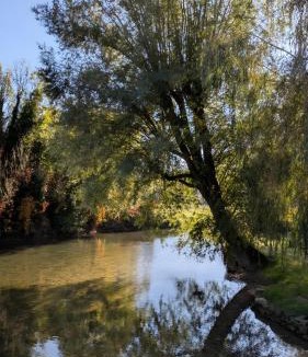 Chamesson House | Gite de scène