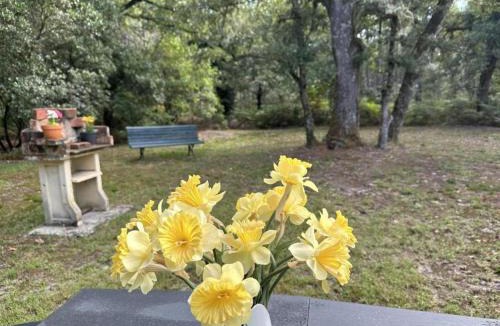 Argelouse House | Gite de tambourin