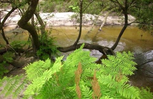 Argelouse House | Gite de tambourin