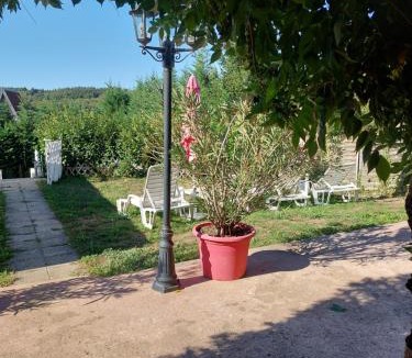 Sarlande House | GITE de THOMAS