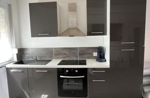 Mittelwihr House | Gite des cigognes bleu