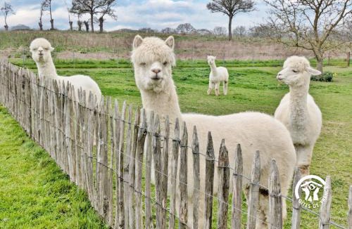 Niafles House | Gite des Mazures