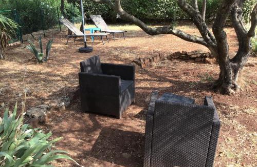 Le Luc House | Gite des oliviers