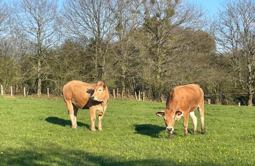 Le Grais House | Gite Des Roses