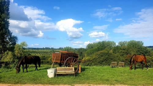 Cambremer House | Gite des Trévignes