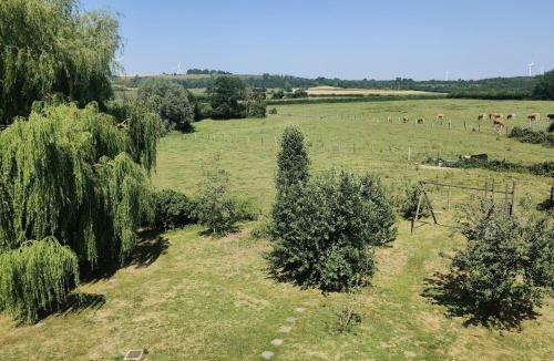 Audincthun House | Gite du bout là haut