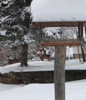 Saint-Narcisse-de-Rimouski Bed & Breakfast | Gite Duchenier