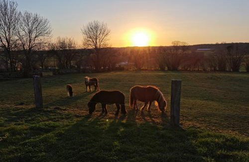 Le Fied House | Gite Du Colombier
