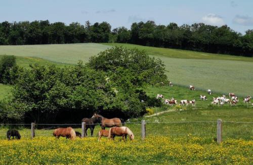 Le Fied House | Gite Du Colombier