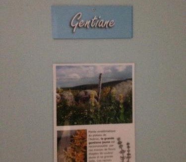 Laguiole Hotel | GITE DU FORAIL