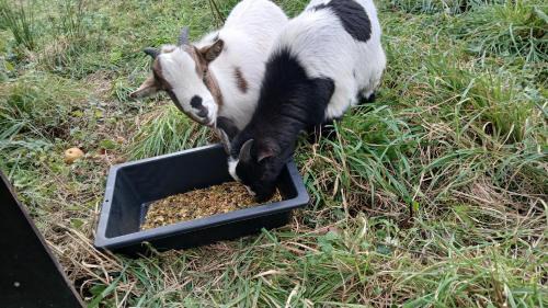 La Bonneville House | Gite du marais