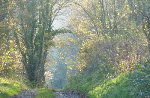 Bouvelinghem Apartment | Gite du Petit Pont