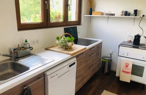 Bischwiller Apartment | Gite du ried, quiet accommodation surrounded by greenery.