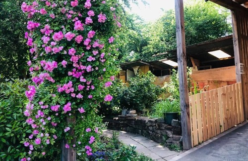 Bischwiller Apartment | Gite du ried, quiet accommodation surrounded by greenery.