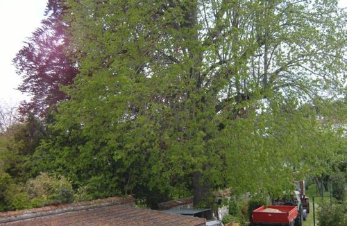 Fere-en-Tardenois House | gite du vieux tilleul