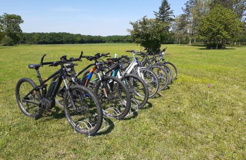 Druyes-les-Belles-Fontaines House | Gite en Forterre