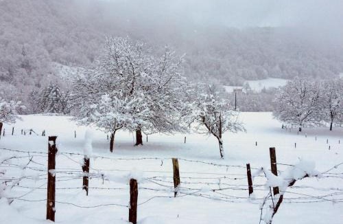 Saint-Bueil Apartment | Gite Entre lacs et montagne