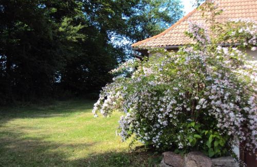 Barrais-Bussolles House | Gite Equipe avec Espace Vert