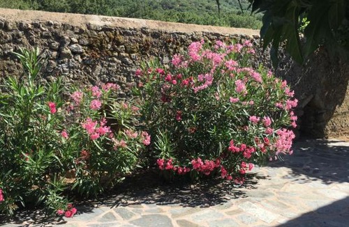 Muro House | Gite fabuleux Saint Michel