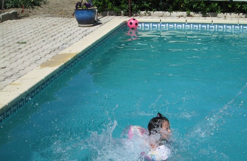 Laurens Apartment | Gite for 4 people in Languedoc with shady garden and swimming pool