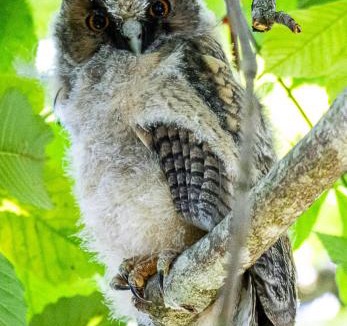 Saint-Maurice-pres-Pionsat Apartment | Gite