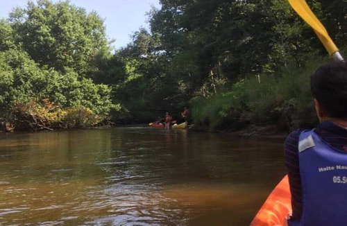 Belin-Beliet House | - Gite Heron -