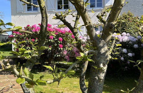 Senneville-sur-Fecamp House | Gite - Holiday home. Senneville sur Fécamp