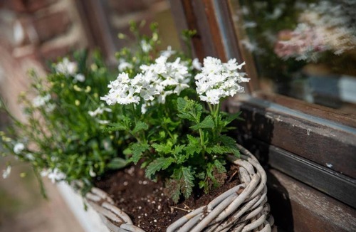 Bailleul House | gite-il était une fois