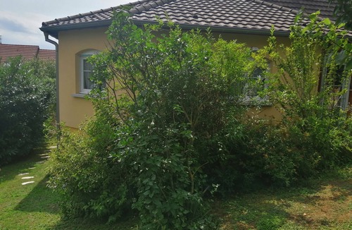 Illfurth Apartment | Gîte in a house in the heart of nature in Alsace near Mulhouse