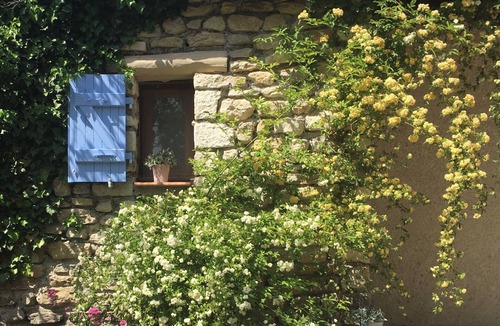 Lurs Cottage | Gîte in the middle of an olive grove