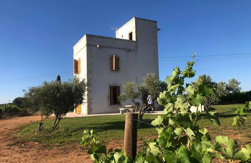 Lunel-Viel Apartment | Gite Isolé au Milieu des Vignes