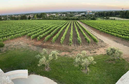 Lunel-Viel Apartment | Gite Isolé au Milieu des Vignes