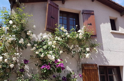 Les Chatelliers-Chateaumur Cottage | Gîte L'eau vive - The mill of Charin - Puy du Fou