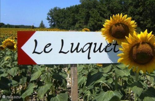 Saint-Beauzeil House | Gite l' Embrassement le Luquet Saint Beauzeil 82